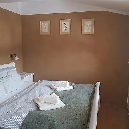 Guest house Stara Skola 3*